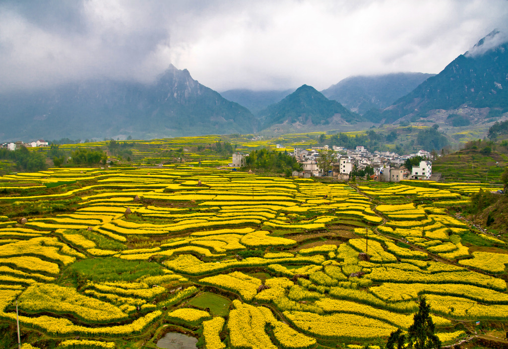 徽州故里，獅創(chuàng)專家團(tuán)隊(duì)赴安微省績(jī)溪縣進(jìn)行項(xiàng)目考察