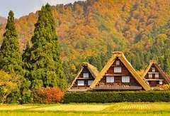 產業(yè)研究|“第六產業(yè)”您可知？