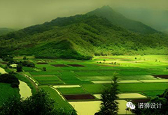 【獅創(chuàng)關(guān)注】阿里私人定制農(nóng)場(chǎng)，“飛一般的感覺”